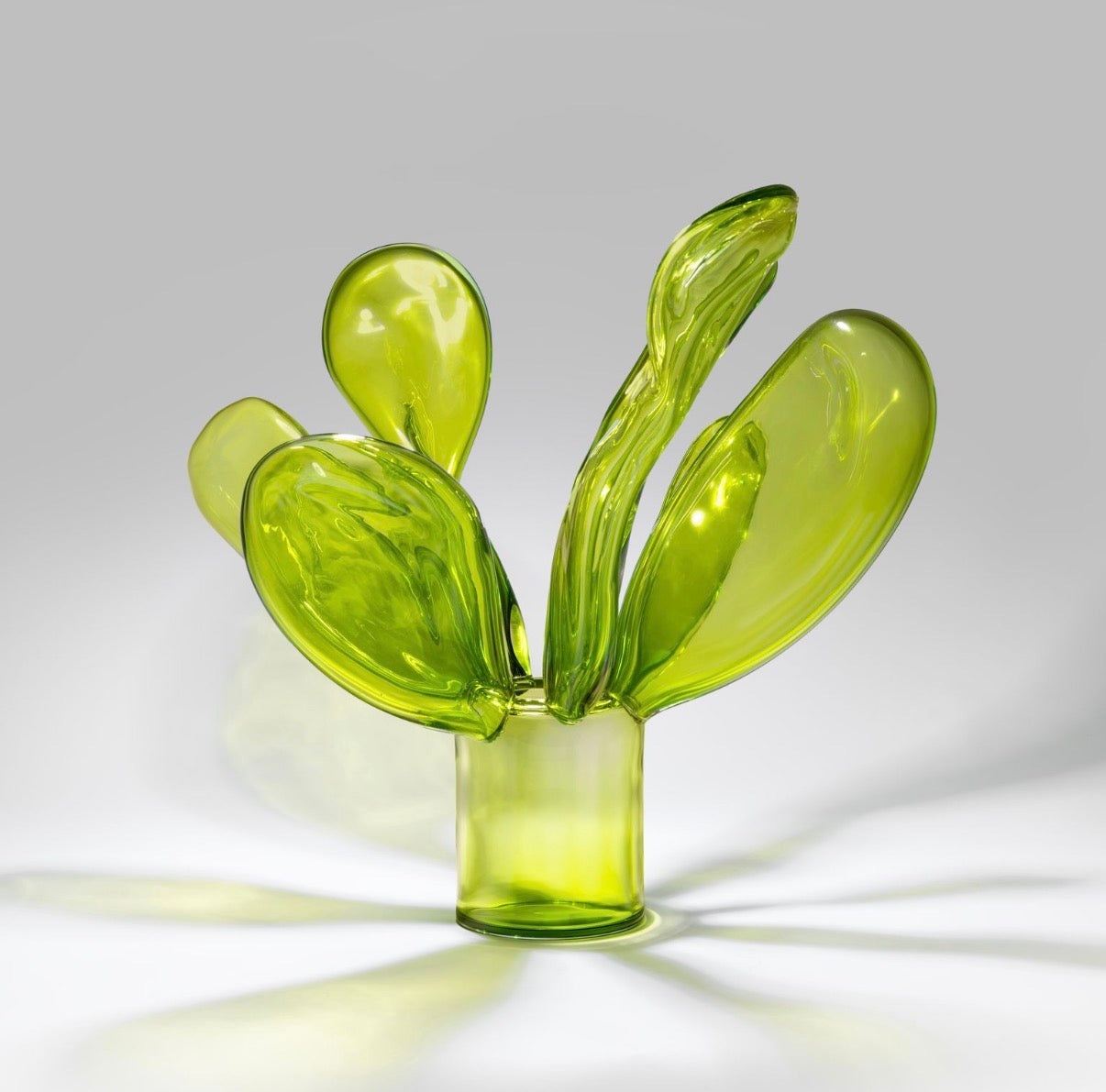 Cactus - Kosta Boda artglass by Alexander Lervik